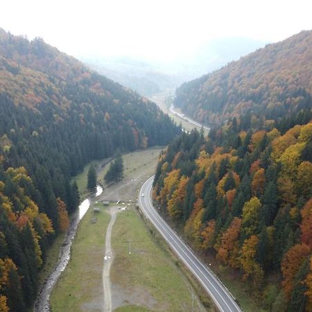 Pensiunea Bradului Колибица Экстерьер фото